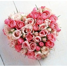Soft enchantment (Curated)